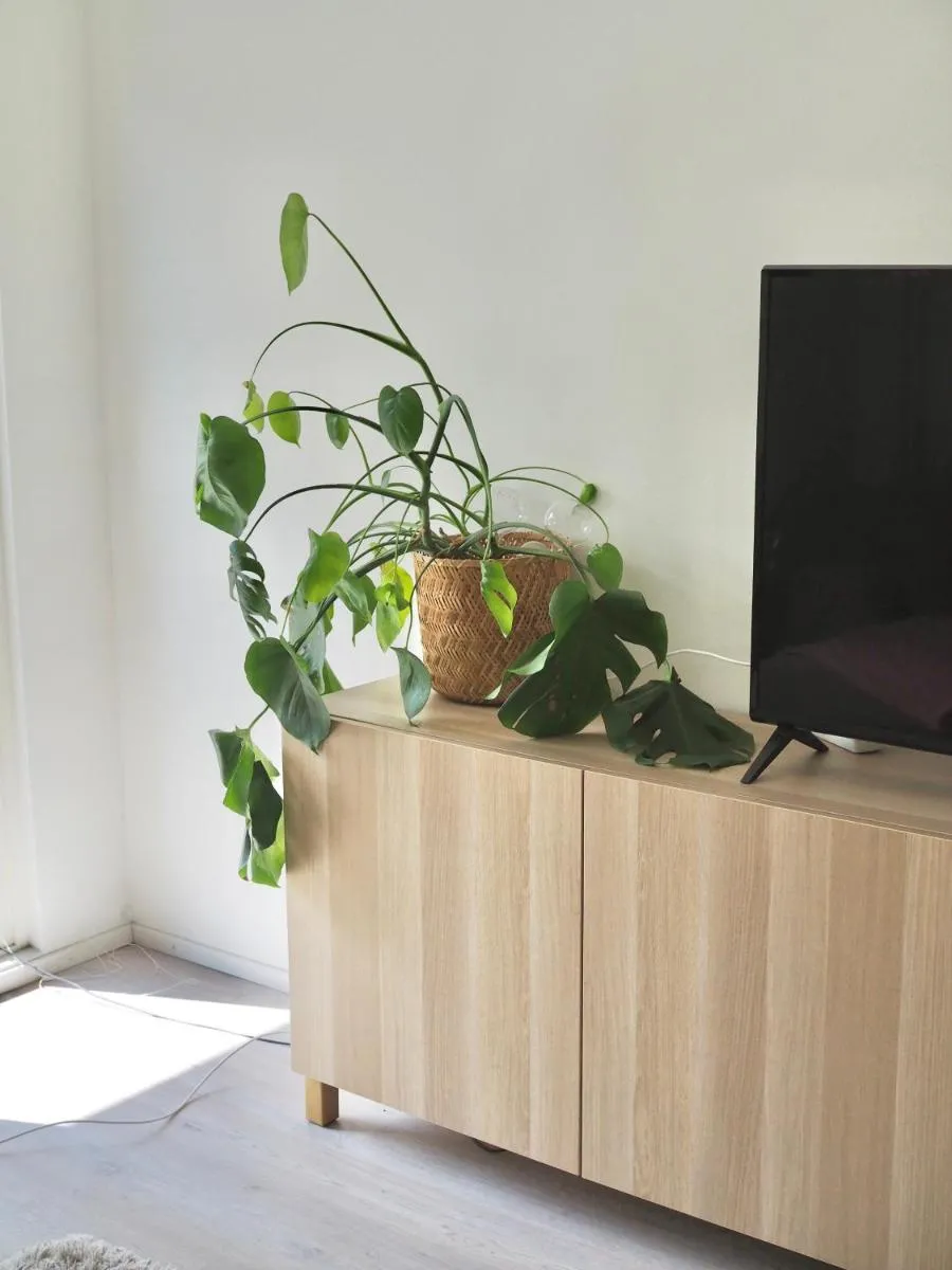 Image 5 of Cozy two-room condo with private balcony