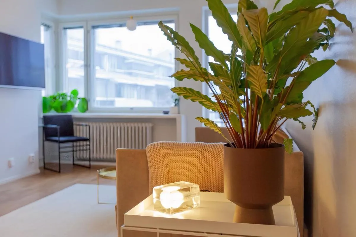 Image 4 of Luxury Nordic Loft with Great Kitchen and Location