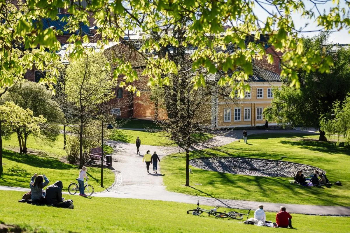 Image 5 of Roost Munkkisaari