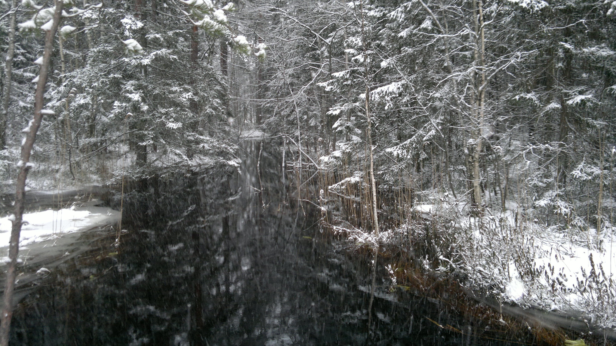 Nuuksio National Park